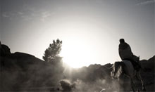 DDOS压力测试网页端